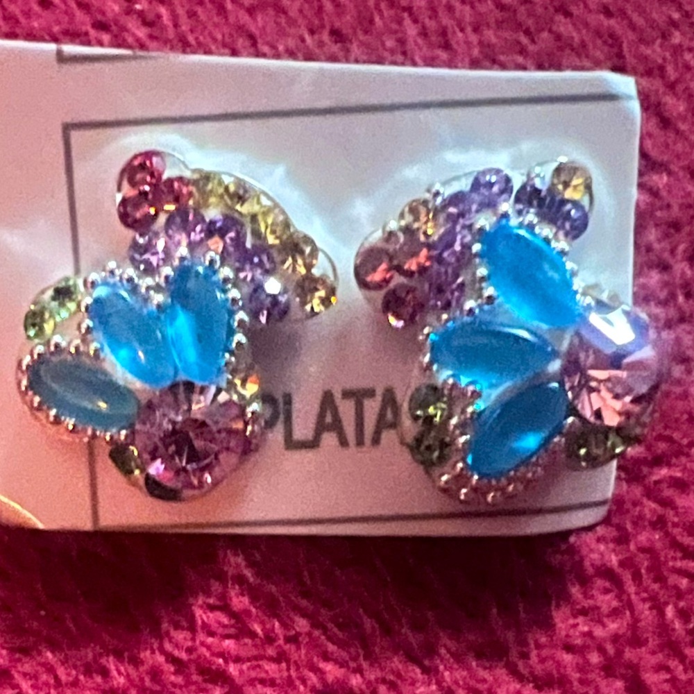 🐻Bear earrings silver 925 plata
